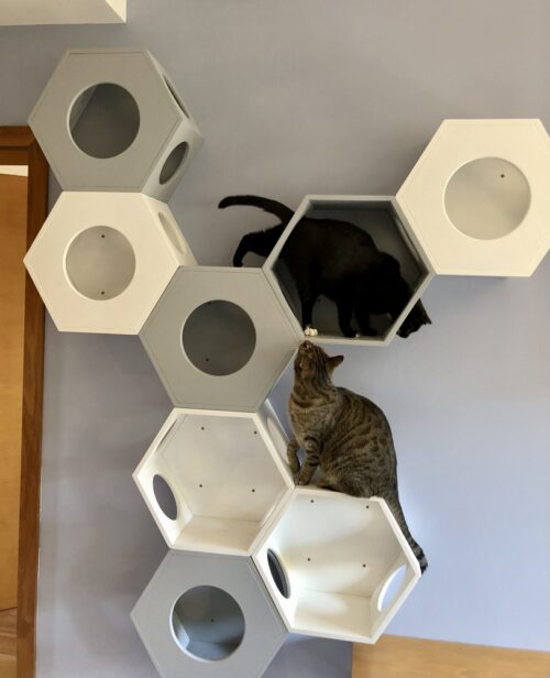 Półka dla kota Hexagon z pokrywą