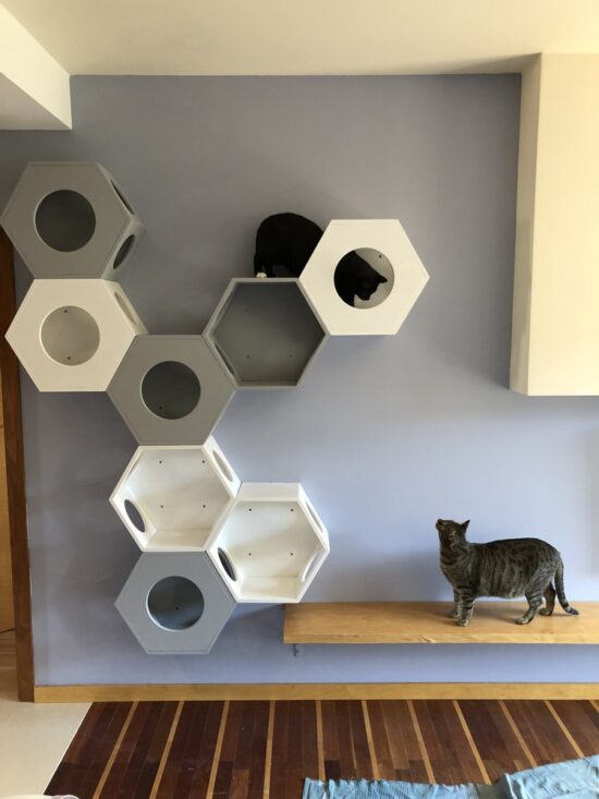 Półka dla kota Hexagon z pokrywą