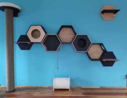 Półka dla kota Hexagon z pokrywą