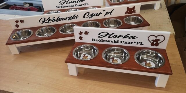 Stoliki dla kociaków z hodowli Królewski Czar